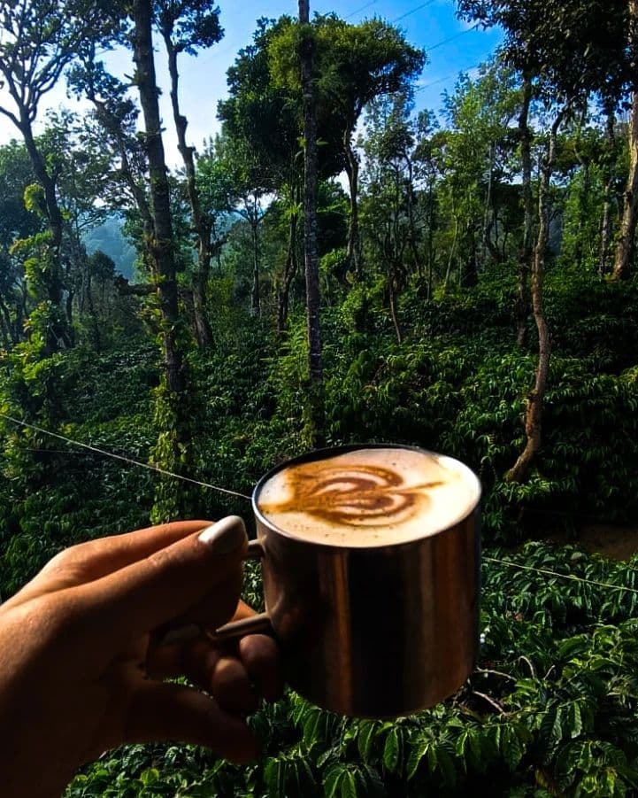 Coorg Coffee Trails & Waterfall Walk